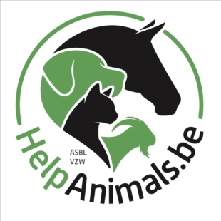 Help Animals