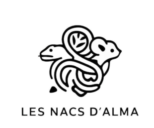 Les NACS d'ALMA