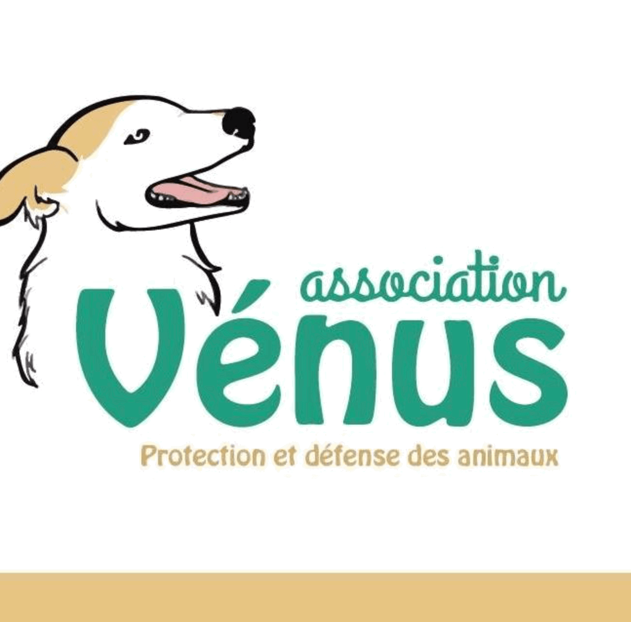 Association Venus