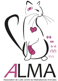 ALMA Association