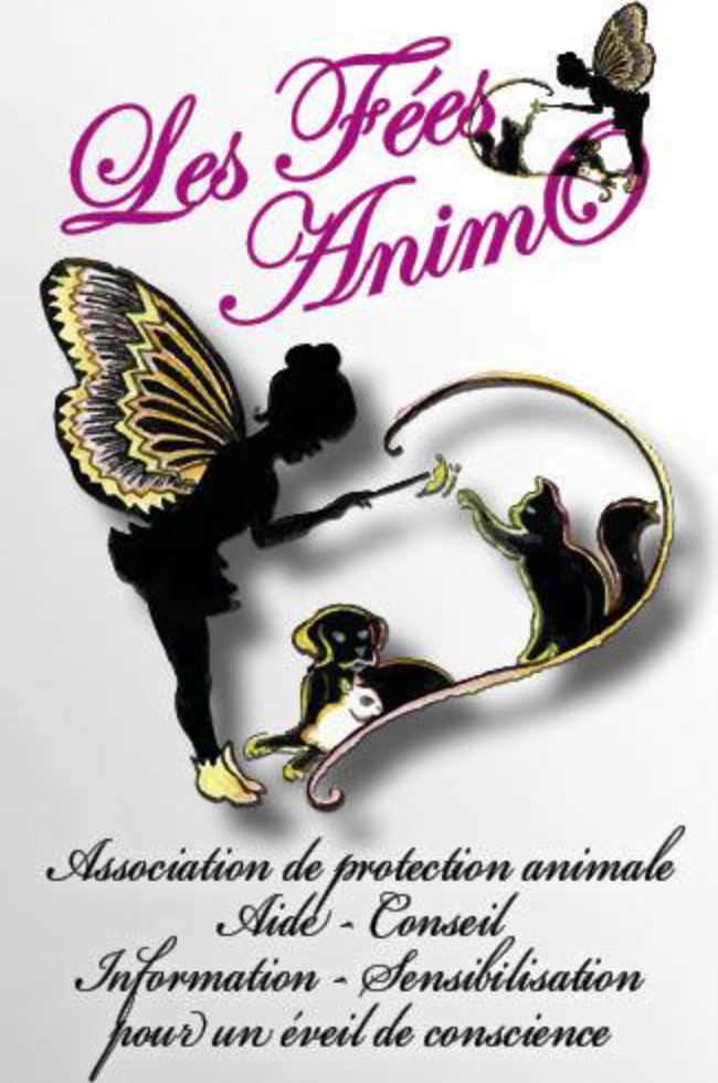 Les Fées AnimO