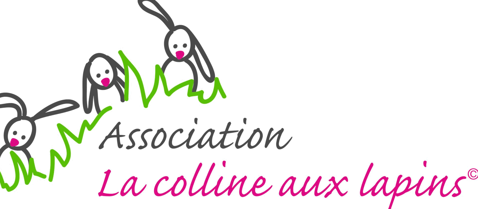 La colline aux lapins