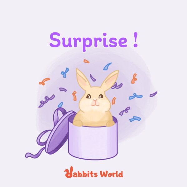 carte_cadeau_surprise