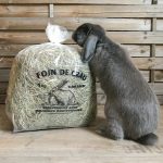 Foin de Crau pour lapin