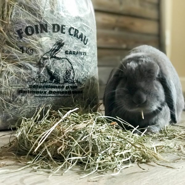 Foin de Crau pour lapin