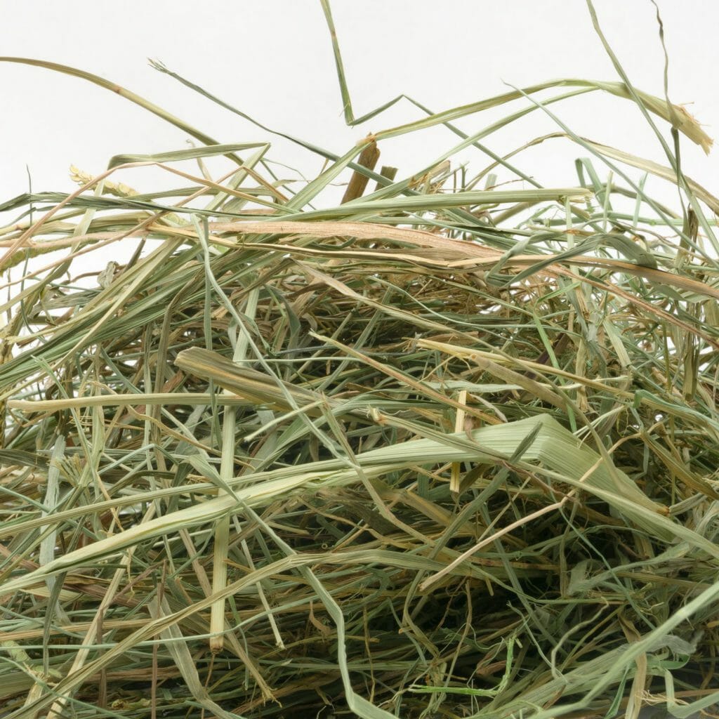 Foin de Crau pour les lapins