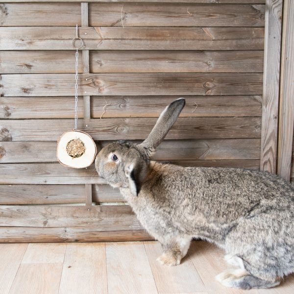 La balançoire aux herbes en bois à suspendre pour lapin