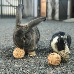 Trio de balles en rotin, jonc et hyacinthe pour lapin