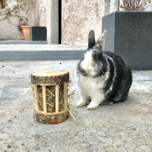 Le ratelier à foin roulant en bois pour lapin