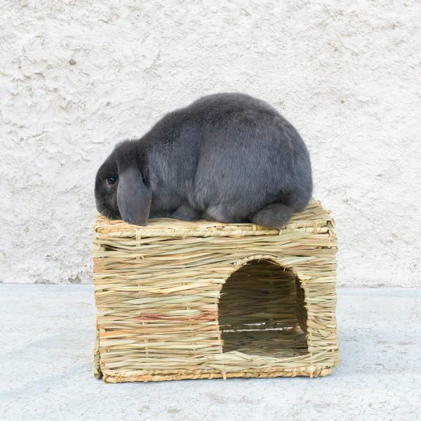 Cabane XL en fibre naturelle pour lapin