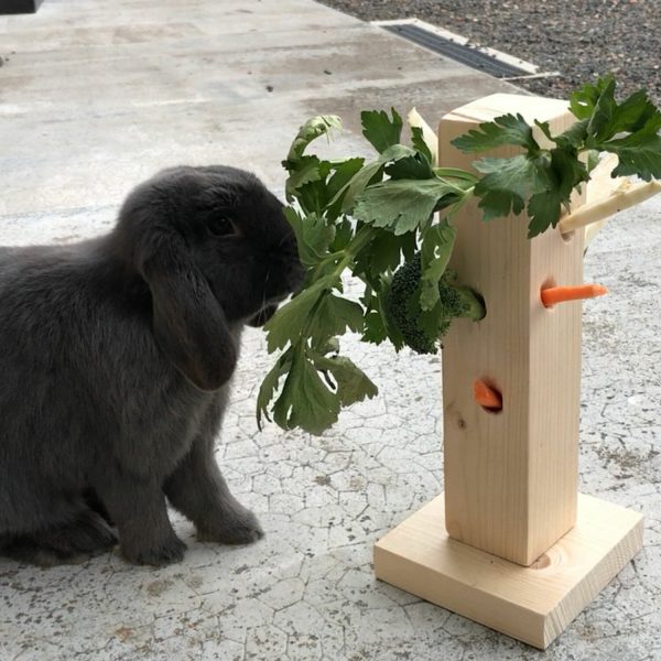 Arbre à légumes et à branchage pour lapin