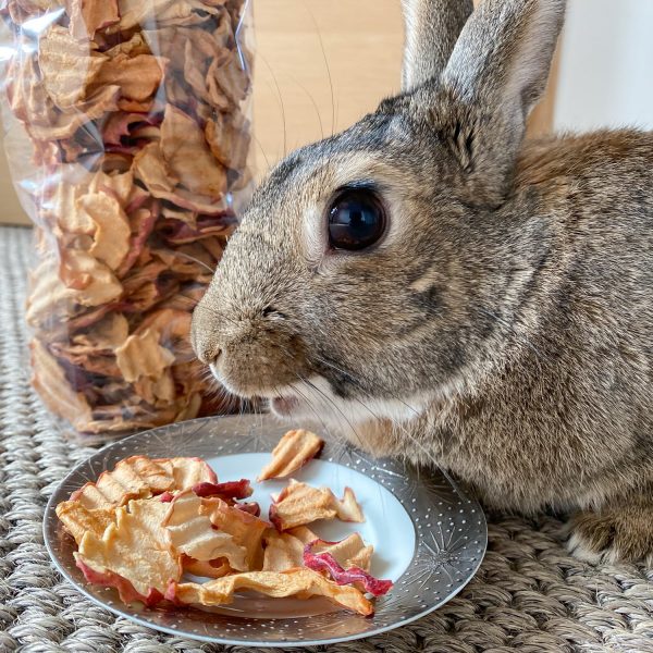 Chips de pomme pour lapin