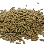 Granulés Essentials adulte oxbow pour lapin