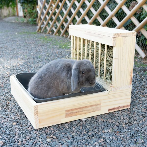 Râtelier-litière medium en bois pour les lapins