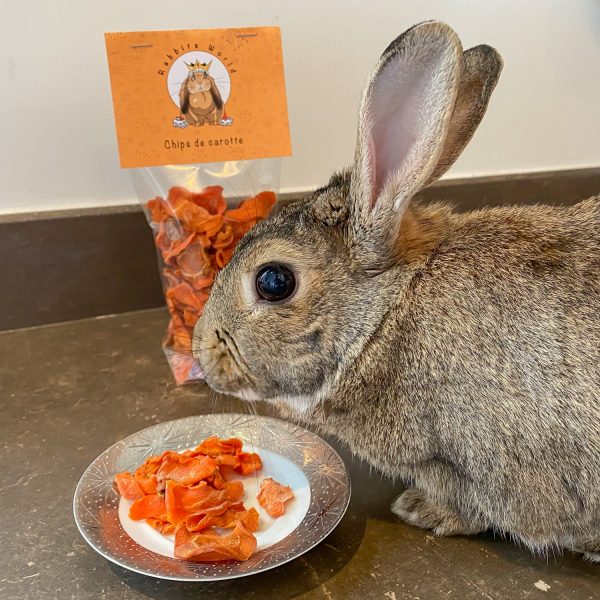 Chips de carotte pour lapin