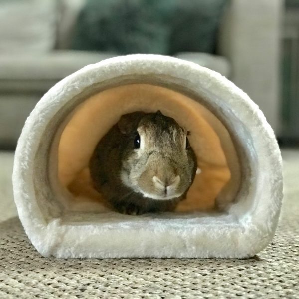 Tunnel douillet pour lapin