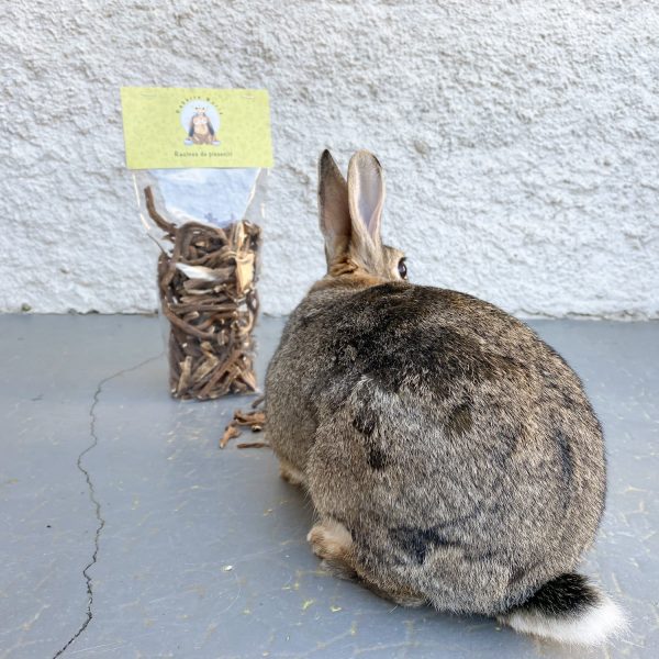 Racines de pissenlit pour lapin