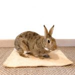 Tapis de chanvre pour lapin