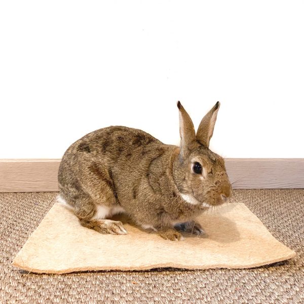 Tapis de chanvre pour lapin