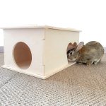 House of love, maison en bois pour lapin