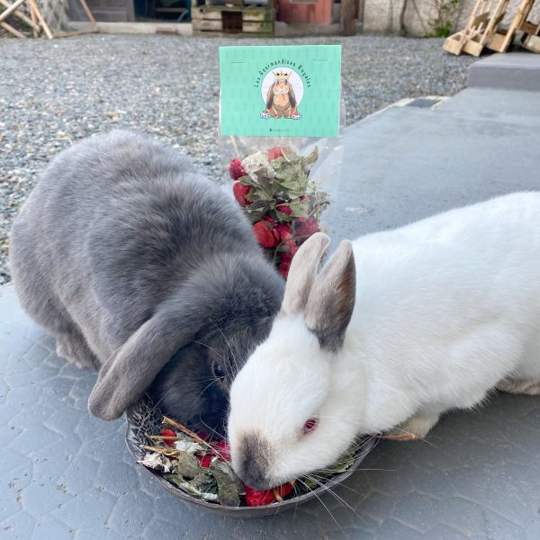 Mélange Rouge passion pour lapin