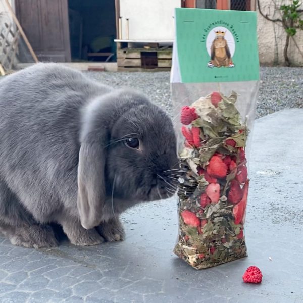 Mélange Rouge passion pour lapin