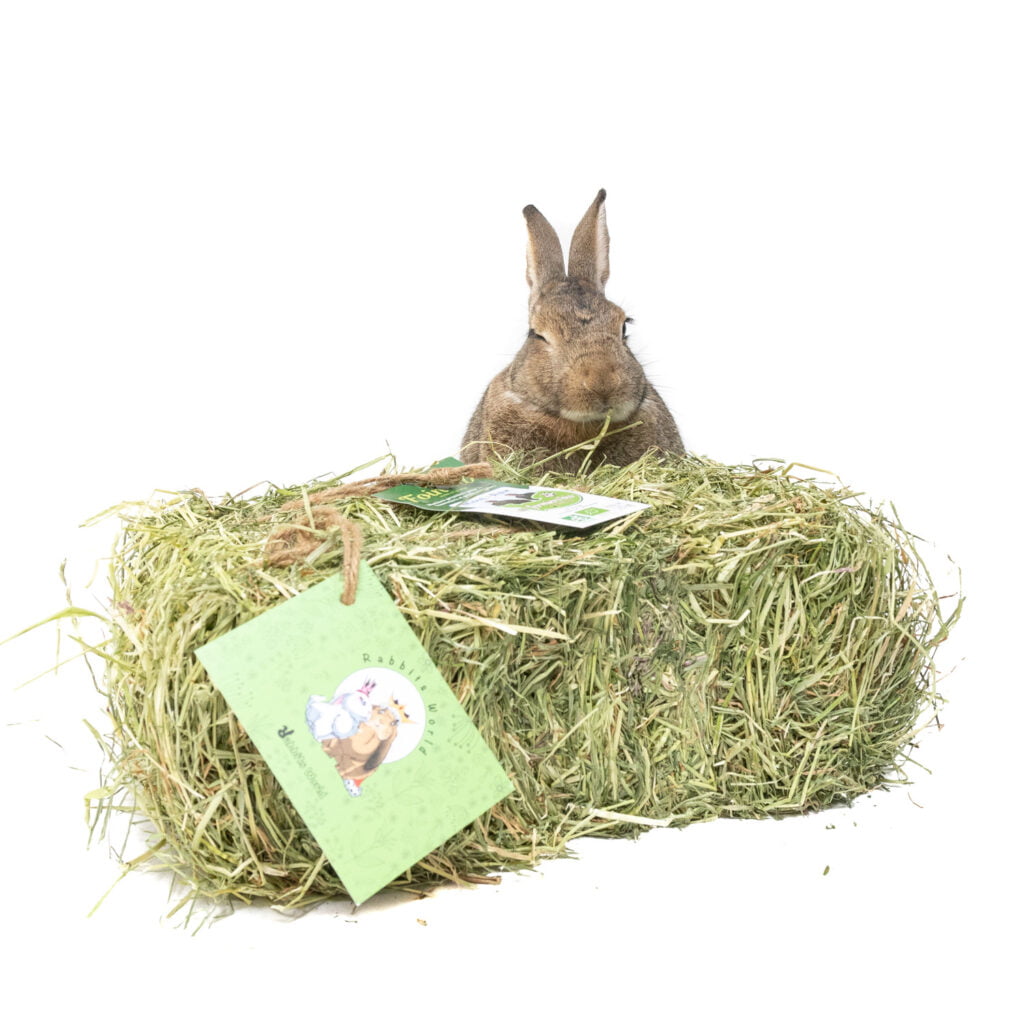 Mini botte de foin bio de Normandie pour les lapins