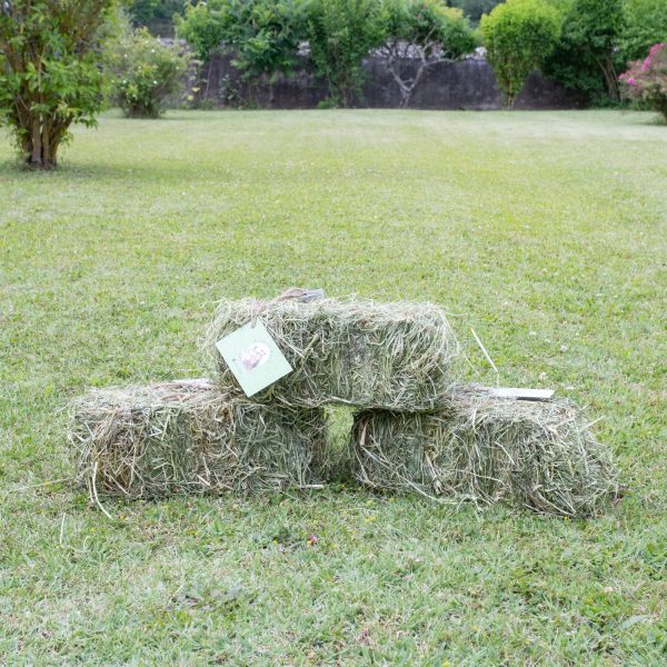 Mini botte de foin bio de Normandie pour les lapins