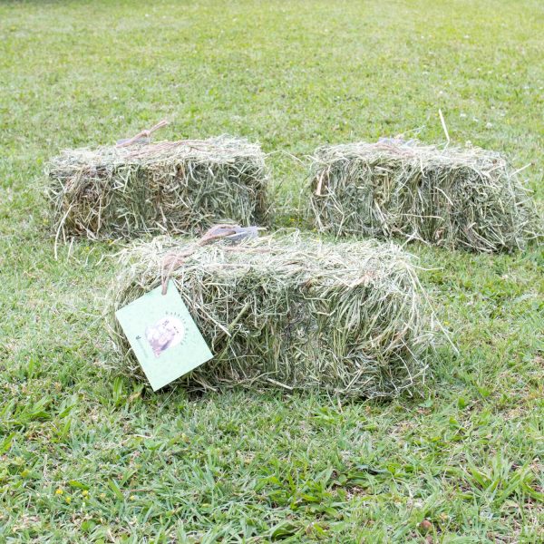 Mini botte de foin bio de Normandie pour les lapins