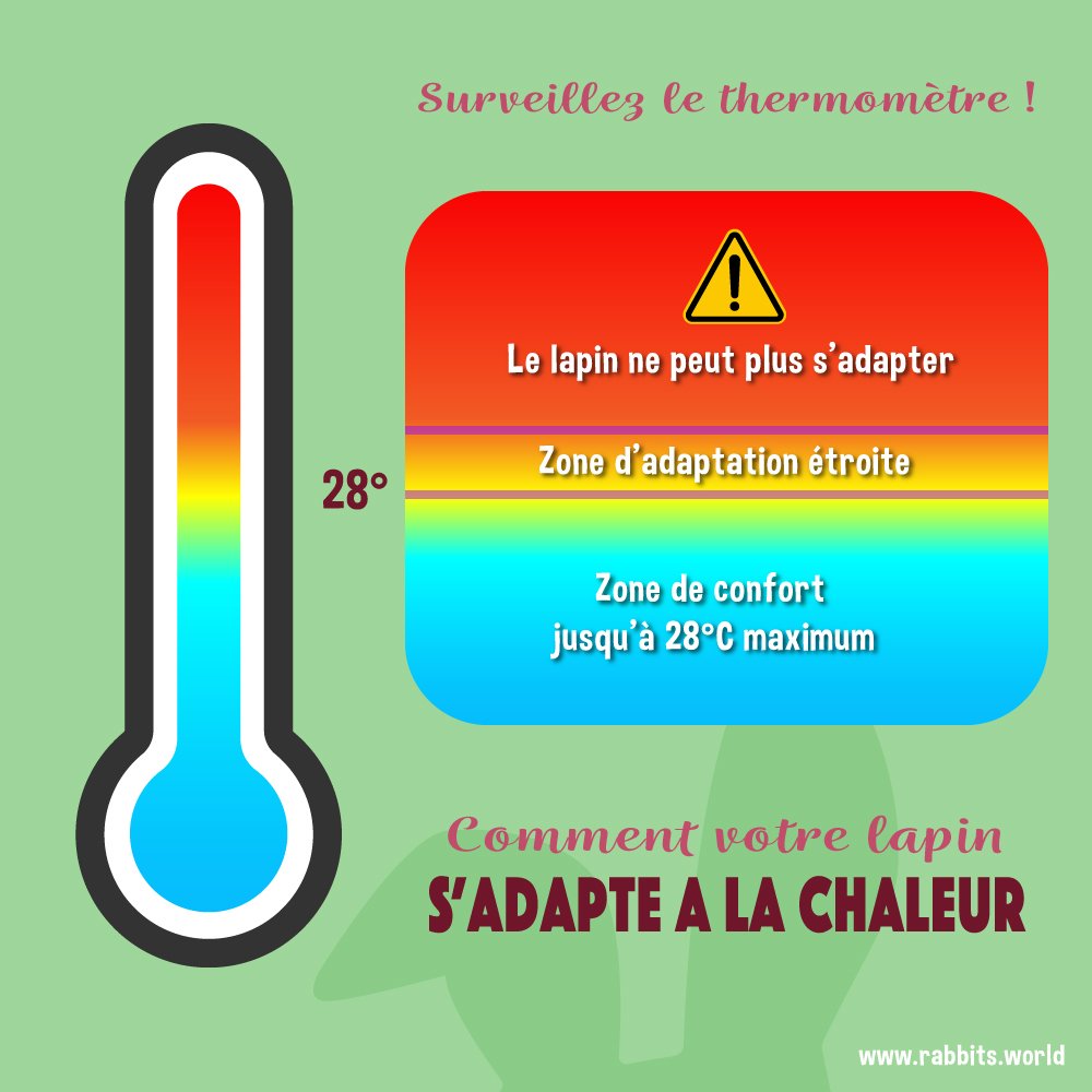 La température ambiante pour un lapin ne doit pas dépasser 28 degrés