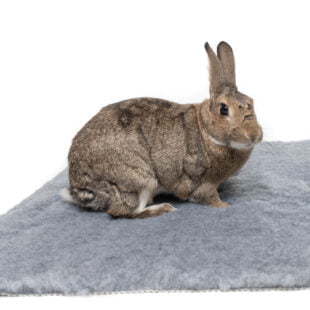 Soft mat for rabbits