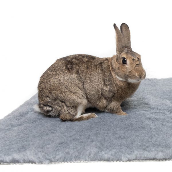 Tapis hygiénique pour les lapins