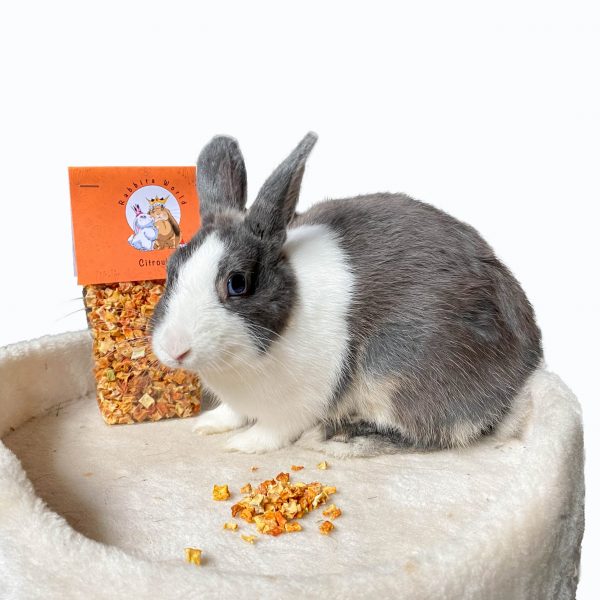 Citrouille déshydratée pour lapin