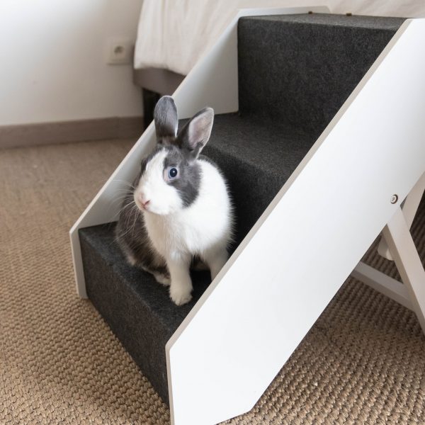 Escalier pour lapin