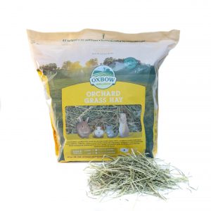 Foin Orchard Grass de chez Oxbow pour les lapins