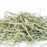 Foin Orchard Grass de chez Oxbow pour les lapins