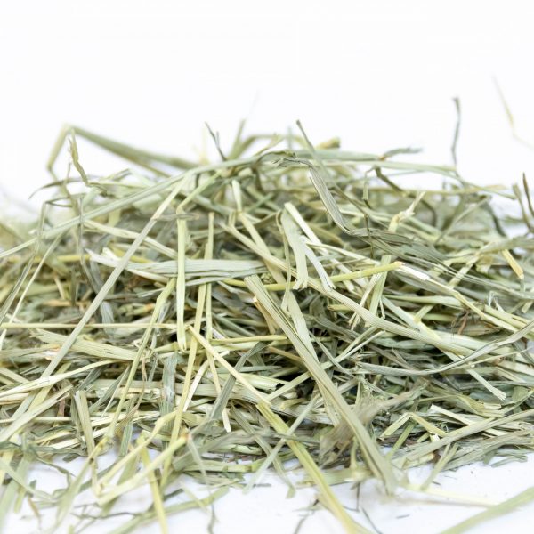 Foin Orchard Grass de chez Oxbow pour les lapins