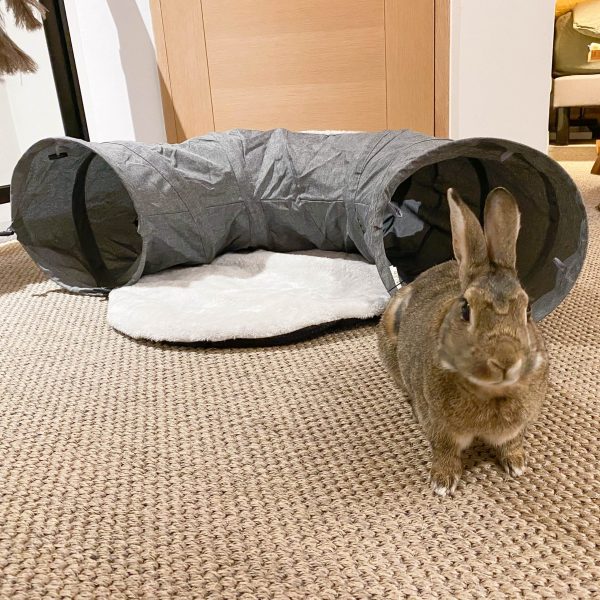 Tunnel Ornikar pour les lapins