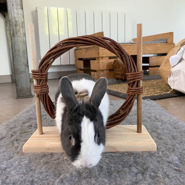 Set agility en bois pour lapin