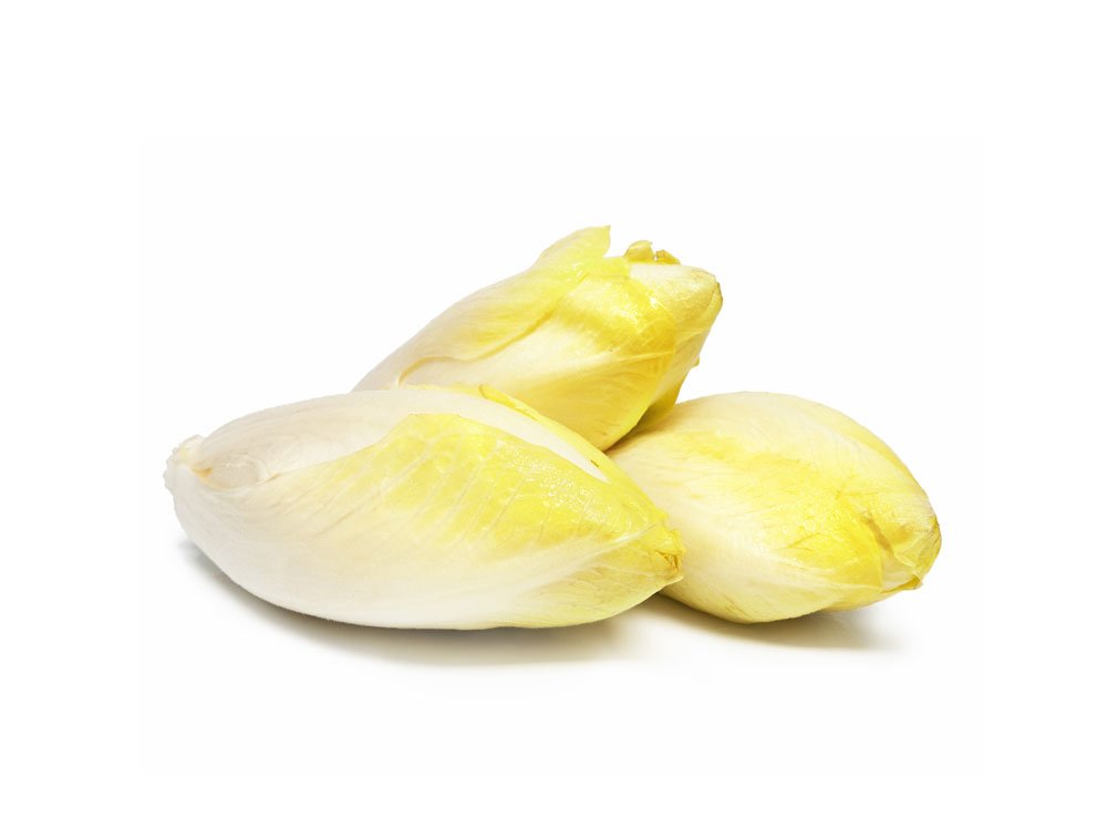 Endive pour lapin