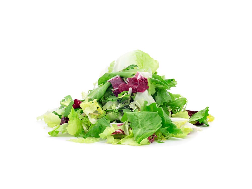 Mesclun pour lapin
