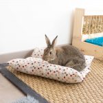 Roll N Flop pour les lapins univers love