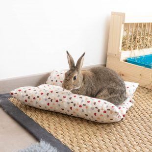 Roll N Flop for Rabbits