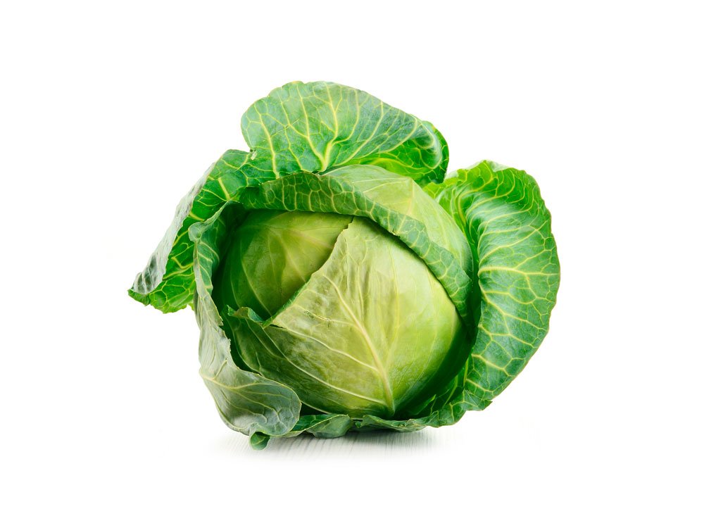 Chou vert pour lapin