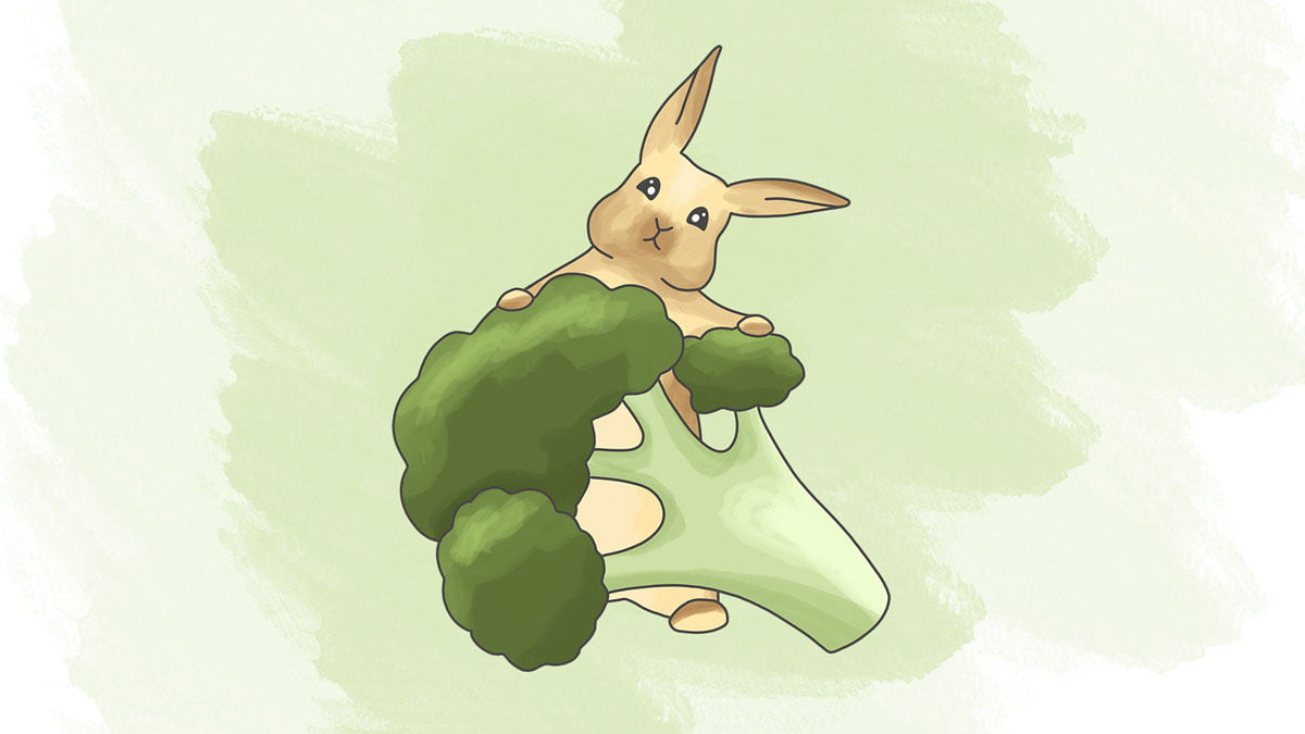 Brocoli pour le lapin