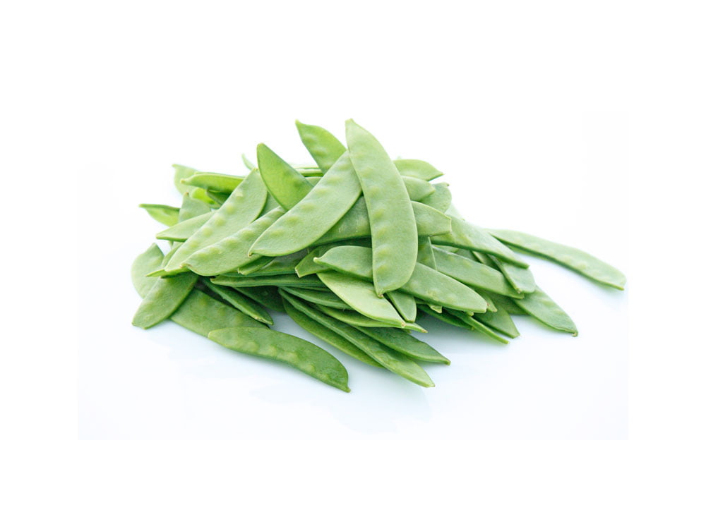 Haricot plat pour lapin