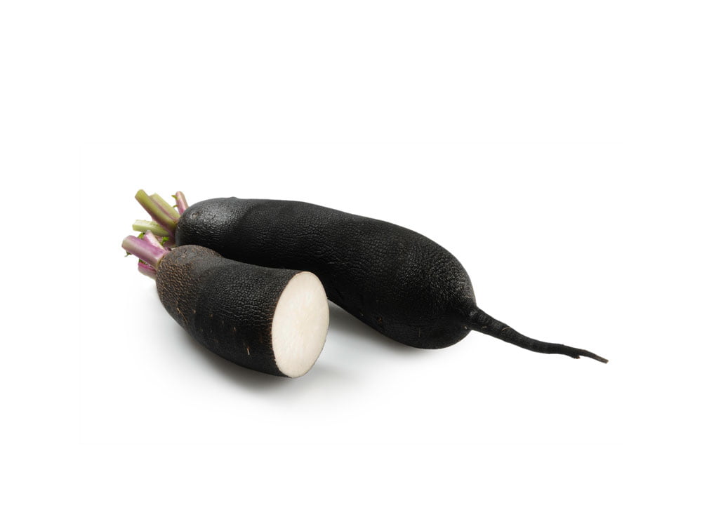 Radis noir pour lapin