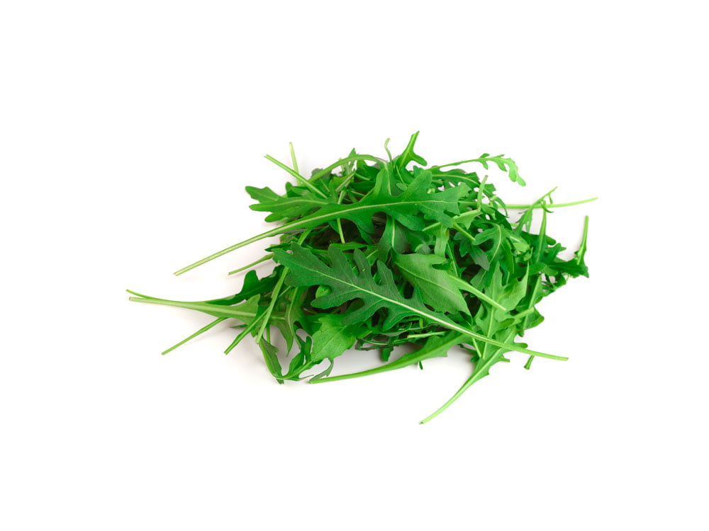 Roquette pour lapin
