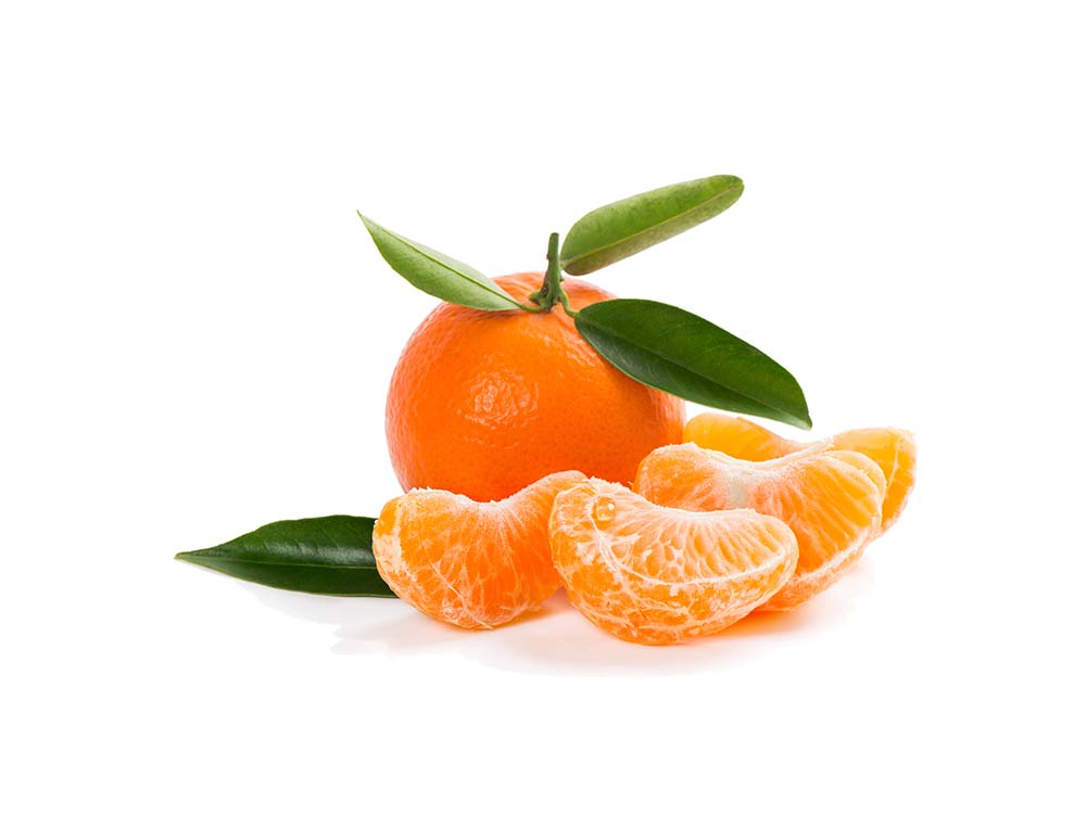 Clementine pour lapin