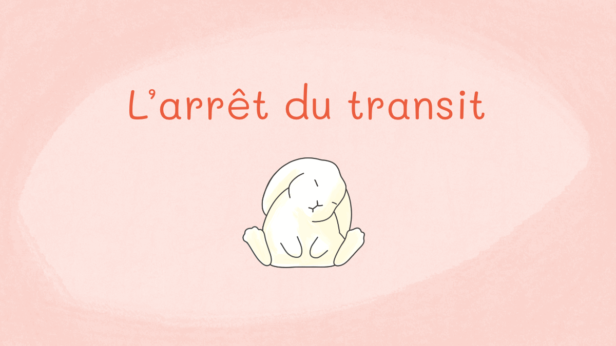 Arrêt du transit du lapin